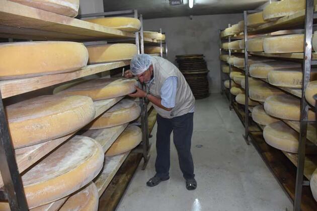 Kars gravyer peynirinin 9 ay süren lezzet yolculuğu